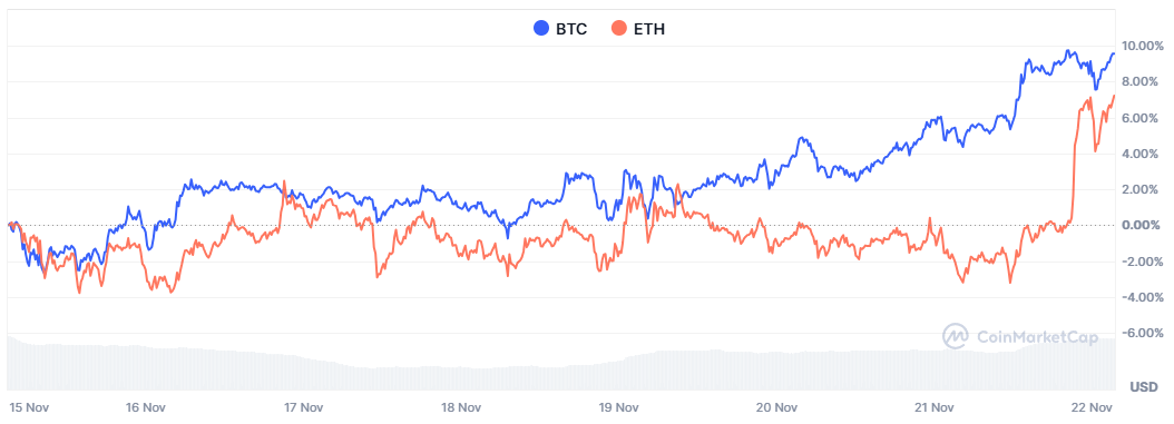 주간동향 이미지